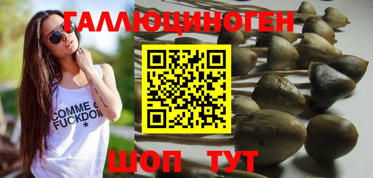 Псилоцибиновые грибы мицелий Гусиноозёрск