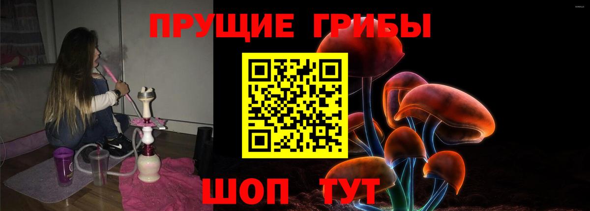 Гусиноозёрск  Псилоцибиновые грибы Psilocybe  Вход с VPN 